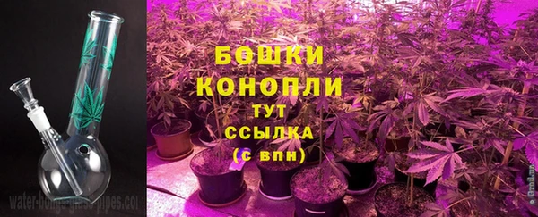 ешки Абаза