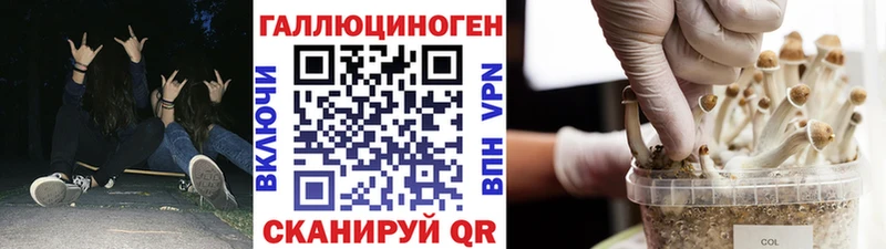 Галлюциногенные грибы мухоморы  маркетплейс какой сайт  Пудож 